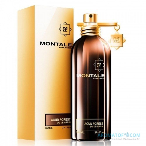 MONTALE MONTALE Aoud Forest