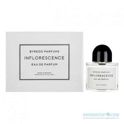 BYREDO BYREDO Inflorescence