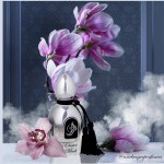Arabesque Perfumes Arabesque Perfumes Elusive Musk