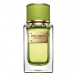 DOLCE & GABBANA DOLCE & GABBANA Velvet Mughetto