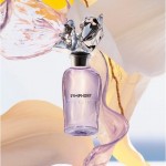 Louis Vuitton Louis Vuitton Symphony