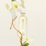 KENZO KENZO Soleil The