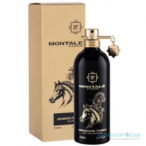 MONTALE MONTALE Arabians Tonka
