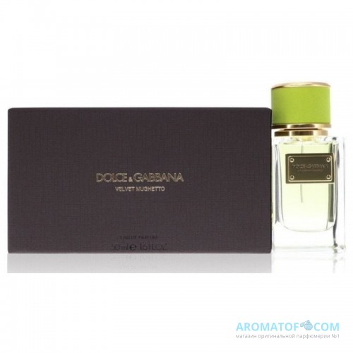 DOLCE & GABBANA DOLCE & GABBANA Velvet Mughetto
