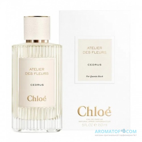 Chloe Chloe Atelier Des Fleurs Cedrus